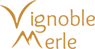 Vignoble Merle