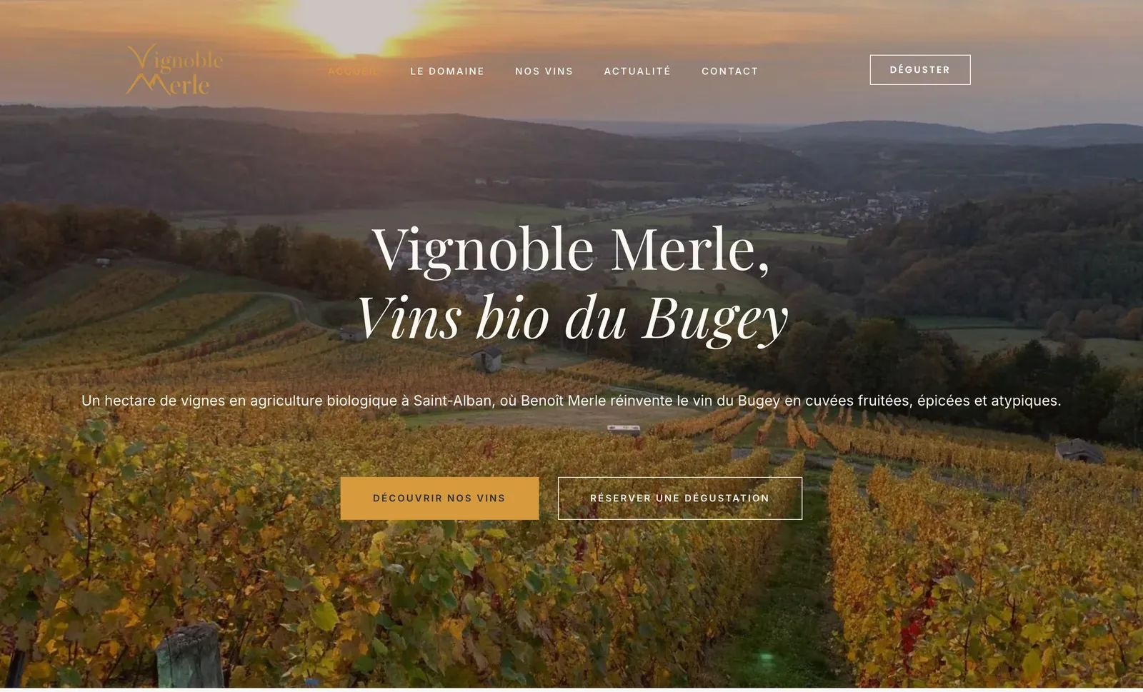 Page d'accueil du site Vignoble Merle